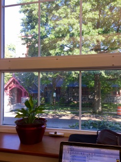 library-window